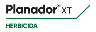 Planador XT